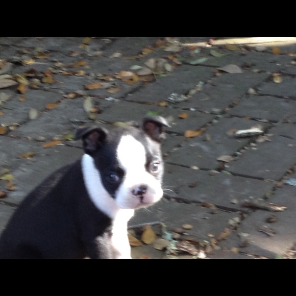 Meet your Posher, Mary - Picture 3 of 7